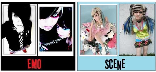 differense between emo and scene?