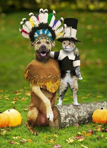 "HAPPY THANKSGIVING, HUMANS!  Do We Look Awesome Or What?!! ...hehehe