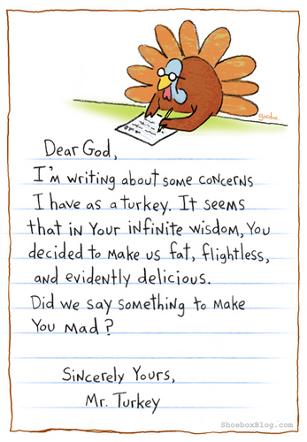  A turkey's letter to god
