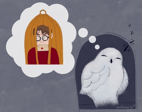  Hedwig and Harry