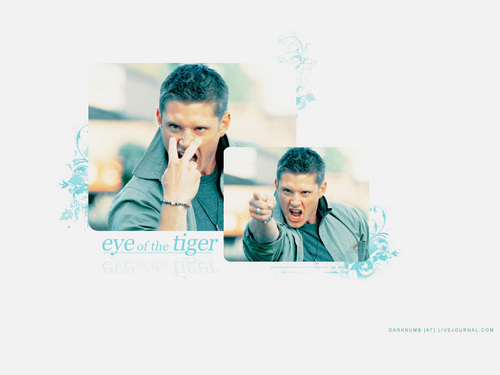  Jensen Eye Of The Tiger