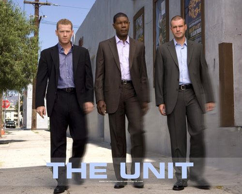  The Unit