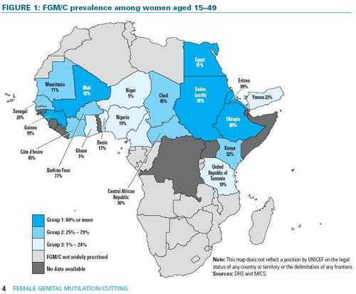 Female Genital Mutilation Statistics in Africa