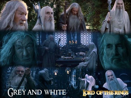  Gandalf and Saruman