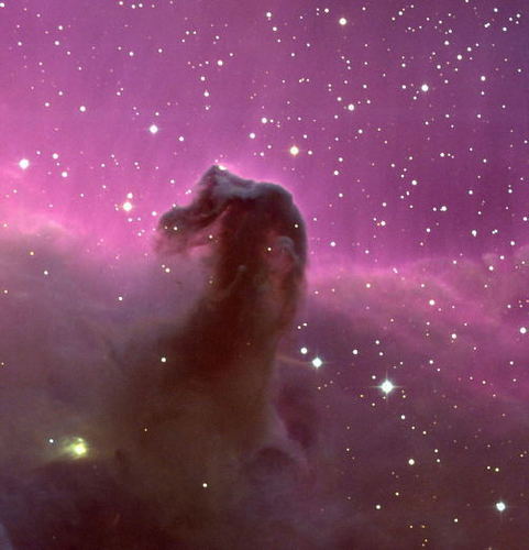  Horsehead nebula in orion