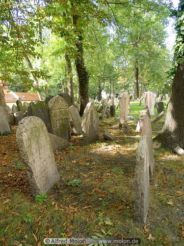  Old jewish cemetery