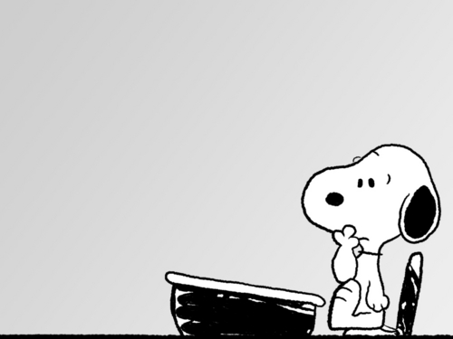  Snoopy at scrivania, reception