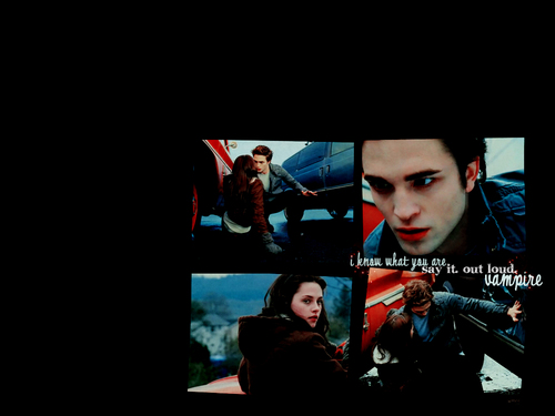  Edward & Bella fond d’écran