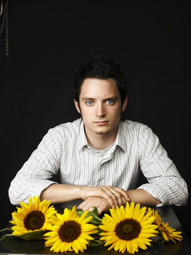  Sunflower Photoshoot 2005