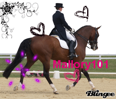  Mallory101 ikon