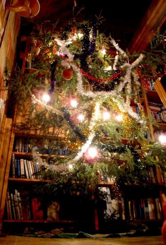  Our क्रिस्मस पेड़