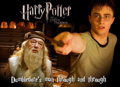  Harry Potter.............