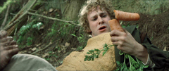  The Fellowship of the Ring: Shortcut to Mushrooms