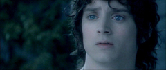  The Fellowship of the Ring: The Mirror of Galadriel
