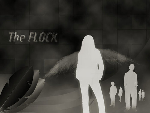  The Flock (dark)