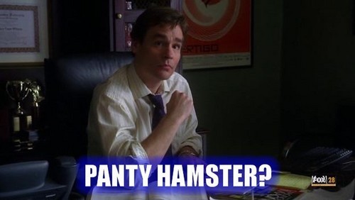  Panty hamster