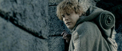  The Two Towers: Samwise the Brave