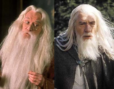  Dumbledore and Gandalf