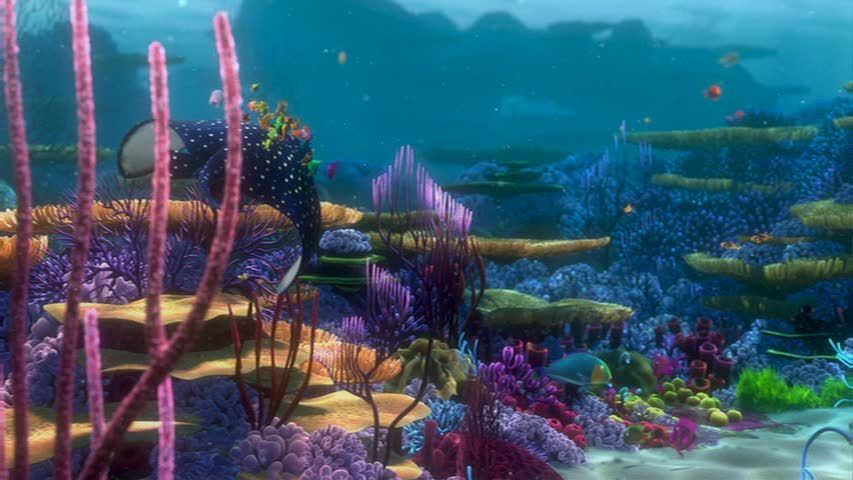 Finding Nemo - Finding Nemo Image (3562269) - Fanpop