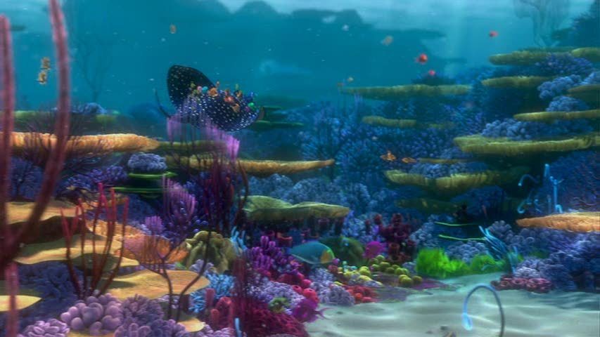 Finding Nemo - Finding Nemo Image (3562271) - Fanpop