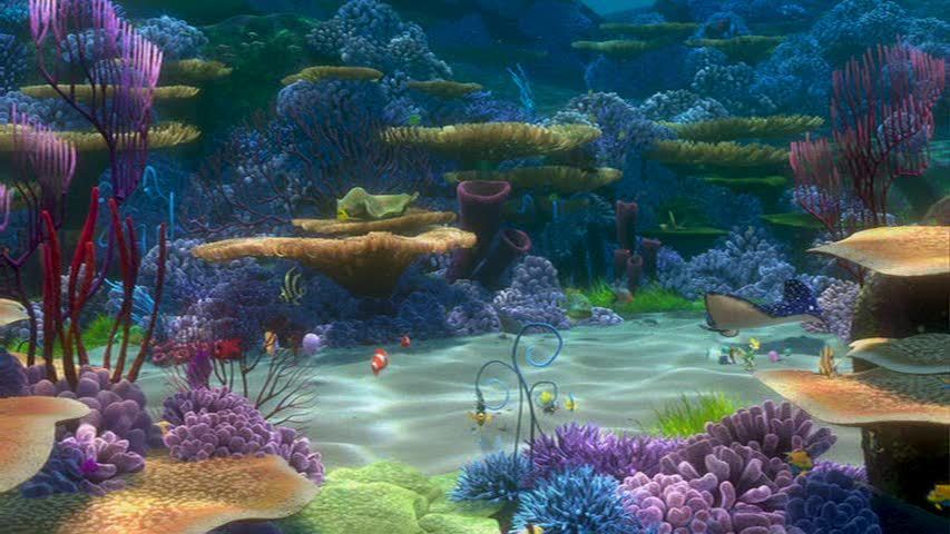 Finding Nemo - Finding Nemo Image (3569963) - Fanpop