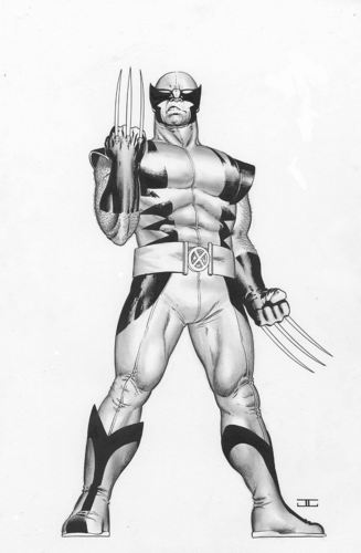  Wolverine Comics