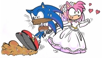  sonic and amys wedding