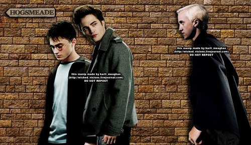  Harry/Cedric/Draco