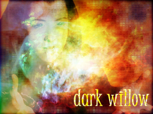  Dark Willow
