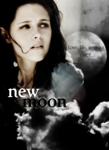  New Moon 粉丝 Made Posters