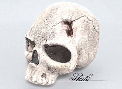  Skull