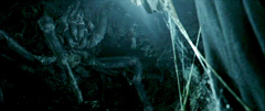  The Return of the King: Shelob's Lair