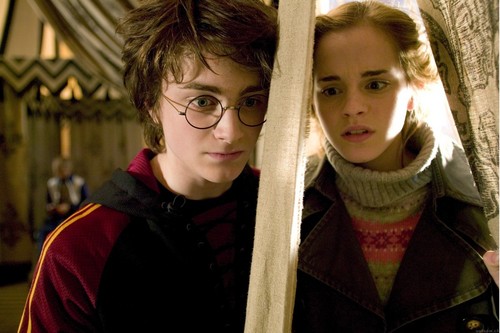  Harry And Hermione