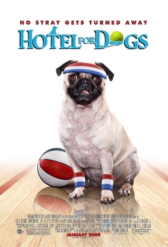  hotel for perros