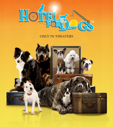  hotel for chiens