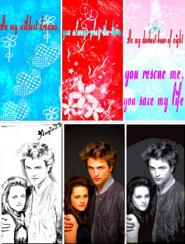  Edward & Bella fã Art