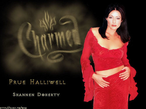  Shannon Doherty