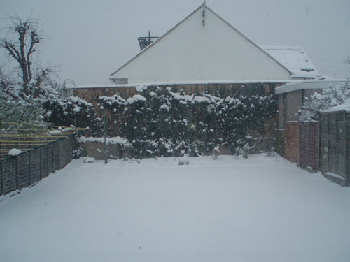  Snow day! 2nd feb 09- London, England!!