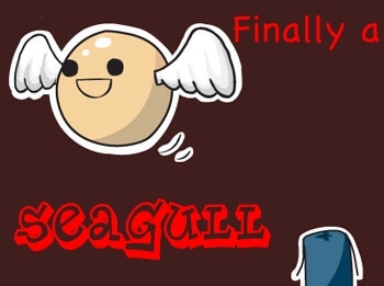  Finally A Seagull