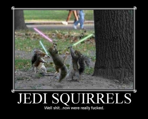  Jedi Squirrels