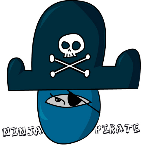  Ninja Pirate!