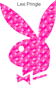  Playboy Bunny