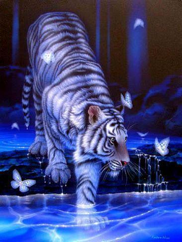  cute tiger pics
