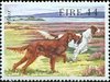  Irish seter Stamps