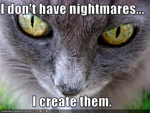 IMG:https://images2.fanpop.com/images/photos/4100000/More-Funny-Cats-animal-humor-4186066-500-375.jpg