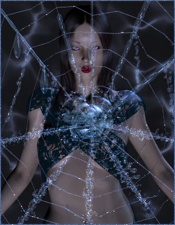 거미 Web