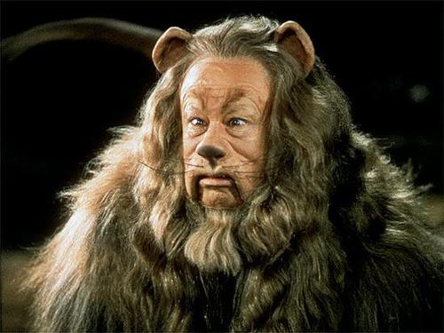  The cowardly lion