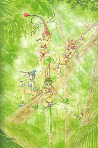  амазонка quartet