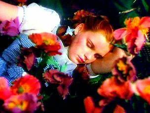 Dorothy sleeping amongst the poppies