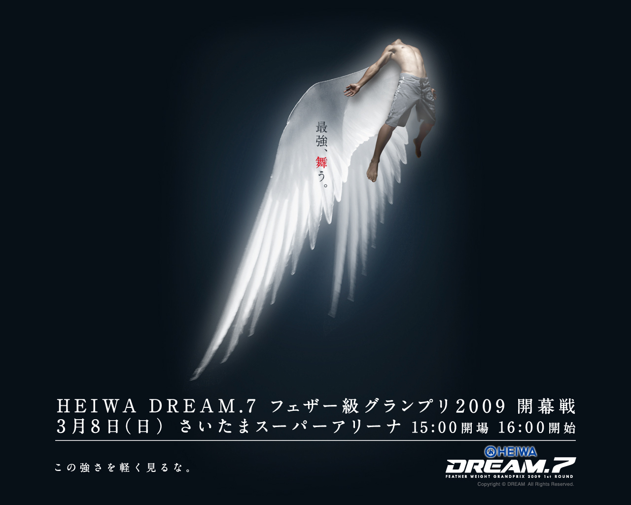 Dream-7-mma-4262317-1280-1024.jpg